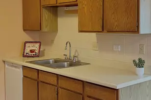 715 N Deer Run Dr, Palatine, IL 60067 - Photo 15