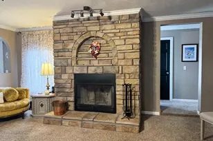 385 Toledo Cemetery Rd, Cobden, IL 62920 - Photo 17