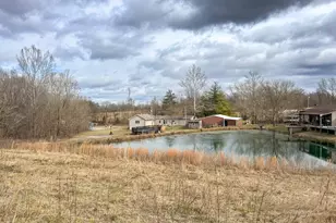 385 Toledo Cemetery Rd, Cobden, IL 62920 - Photo 7