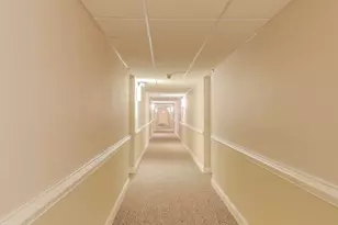 841 N York St, Elmhurst, IL 60126 - Photo 23