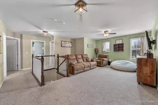 2445 Peregrine Dr, New Lenox, IL 60451 - Photo 17