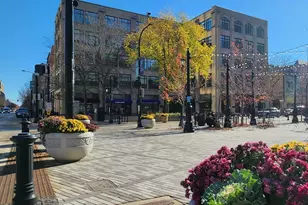 1585 Ridge Ave, Evanston, IL 60201 - Photo 19