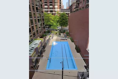 1130 N Dearborn Street #2410, Chicago, IL 60610 - Photo 13