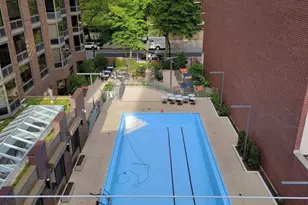 1130 N Dearborn St, Chicago, IL 60610 - Photo 13