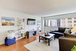 1415 N Dearborn St, Chicago, IL 60610 - Photo 5