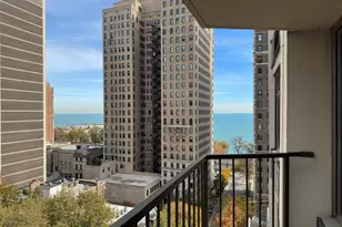 1450 N Astor St, Chicago, IL 60610 - Photo 23