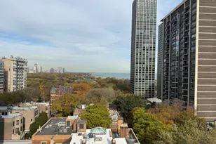 1450 N Astor St, Chicago, IL 60610 - Photo 3