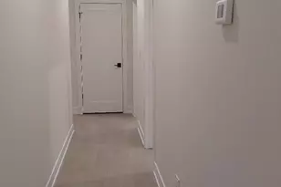 4625 S Michigan Ave, Chicago, IL 60653 - Photo 13