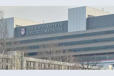 4625 S Michigan Avenue #2, Chicago, IL 60653 - Photo 19