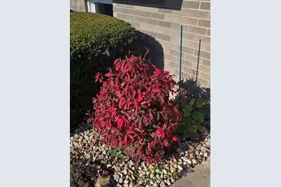 16417 66th Court, Tinley Park, IL 60477 - Photo 33