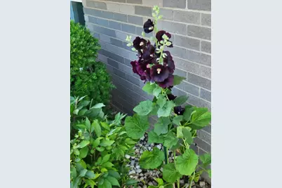 16417 66th Court, Tinley Park, IL 60477 - Photo 27