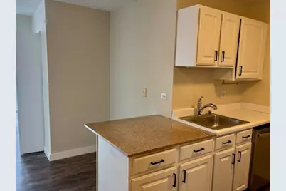 545 N Dearborn Street #W2905, Chicago, IL 60654 - Photo 7