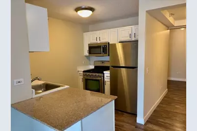 545 N Dearborn Street #W2905, Chicago, IL 60654 - Photo 5