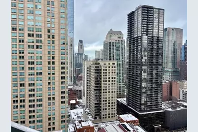 545 N Dearborn Street #W2905, Chicago, IL 60654 - Photo 19
