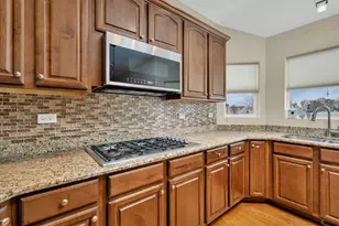 145 S Primrose Dr, Coal City, IL 60416 - Photo 11