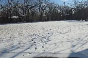 1915 Tina Ln, Flossmoor, IL 60422 - Photo 23