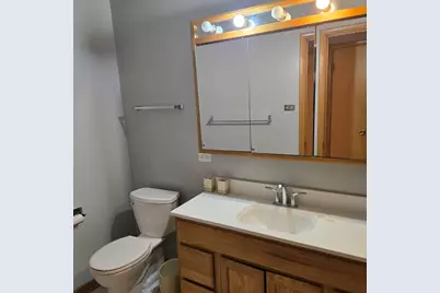 1915 Tina Lane, Flossmoor, IL 60422 - Photo 15