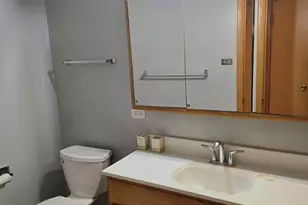 1915 Tina Ln, Flossmoor, IL 60422 - Photo 15