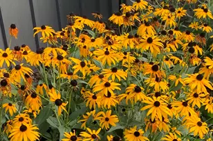 106 Mix St, Oregon, IL 61061 - Photo 49