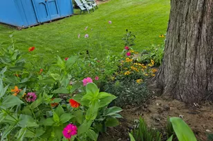 8114 9th St W, Rock Island, IL 61201 - Photo 33