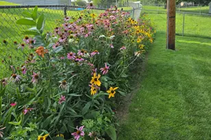 8114 9th St W, Rock Island, IL 61201 - Photo 35