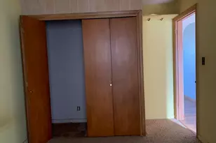 380 S Marguerite St, Coal City, IL 60416 - Photo 53