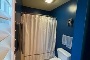 26704 W Ian Ct, Channahon, IL 60410 - Photo 19