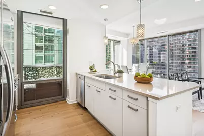 240 E Illinois Street #1202, Chicago, IL 60611 - Photo 5