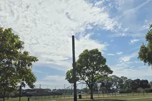 7749 Odell Ave, Bridgeview, IL 60455 - Photo 7