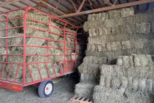 8206 Bull Valley Rd, Bull Valley, IL 60098 - Photo 37