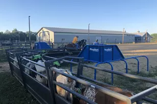 8206 Bull Valley Rd, Bull Valley, IL 60098 - Photo 33