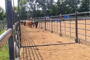 8206 Bull Valley Rd, Bull Valley, IL 60098 - Photo 25