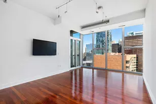 550 N St Clair St, Chicago, IL 60611 - Photo 11