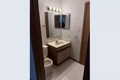 9334 Drummond Drive #9334, Tinley Park, IL 60487 - Photo 21