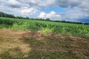 15218 Harmony Rd, Huntley, IL 60142 - Photo 71