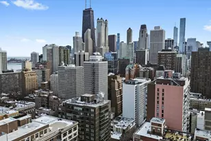 21 W Goethe St, Chicago, IL 60610 - Photo 27