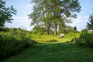 2668 Arrowhead Dr, Pingree Grove, IL 60140 - Photo 45