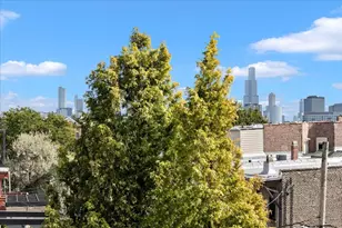 1823 W Race Ave, Chicago, IL 60622 - Photo 49