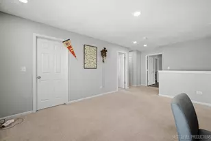 1038 Veteran Ave, Elburn, IL 60119 - Photo 15