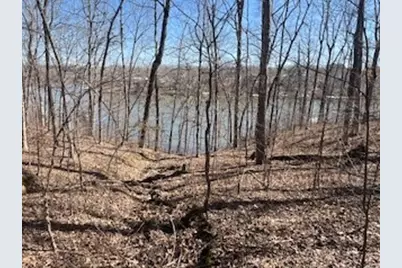 Lot 244 Parrish Ridge Lane, Orangeville, IL 62939 - Photo 3