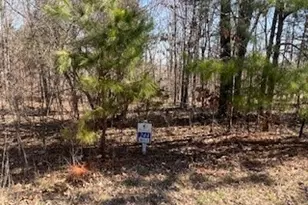 Lot 244 Parrish Ridge Ln, Orangeville, IL 62939 - Photo 1