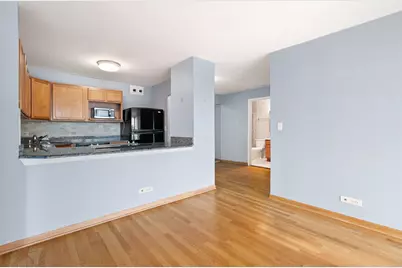 525 W Hawthorne Place #1001, Chicago, IL 60657 - Photo 5