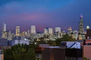 849 N Paulina St, Chicago, IL 60622 - Photo 21