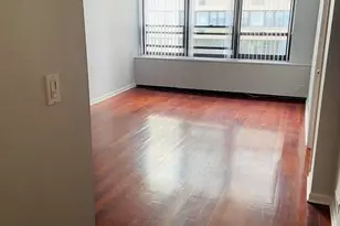 222 E Pearson St, Chicago, IL 60611 - Photo 3