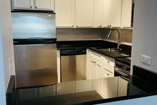 222 E Pearson St, Chicago, IL 60611 - Photo 7