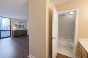 [Address not provided], Chicago, IL 60601 - Photo 15