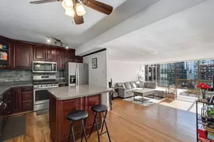 230 E Ontario St, Chicago, IL 60611 - Photo 9