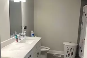 5226 Bentgrass Ave, Richton Park, IL 60471 - Photo 13