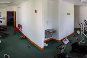 10865 Doral Dr, Frankfort, IL 60423 - Photo 47