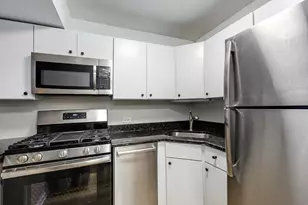 230 E Ontario St, Chicago, IL 60611 - Photo 7